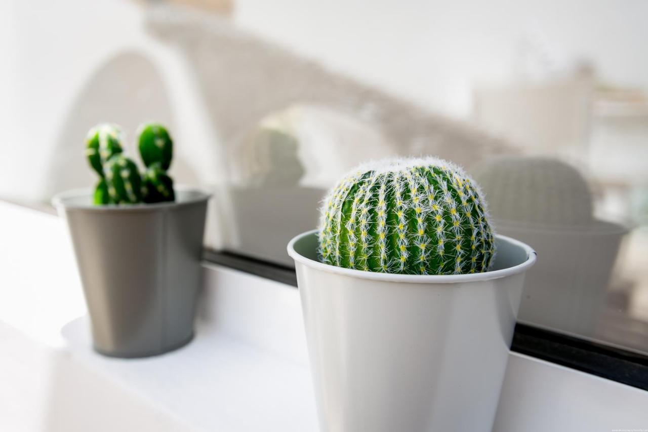 סן מיגל דה אבונה Cactus Apartment מראה חיצוני תמונה