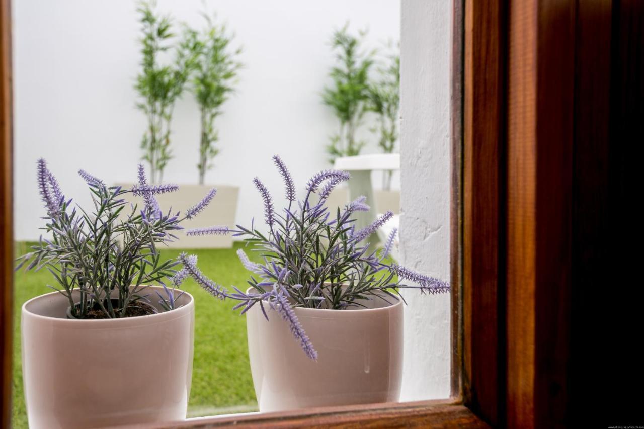 סן מיגל דה אבונה Cactus Apartment מראה חיצוני תמונה